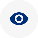 Vision